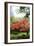 Japanese Gardens IV-Brian Moore-Framed Photographic Print