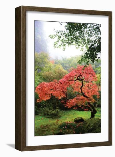 Japanese Gardens IV-Brian Moore-Framed Photographic Print