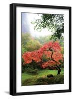 Japanese Gardens IV-Brian Moore-Framed Photographic Print