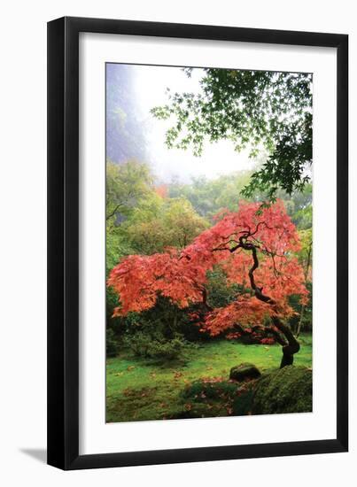 Japanese Gardens IV-Brian Moore-Framed Photographic Print