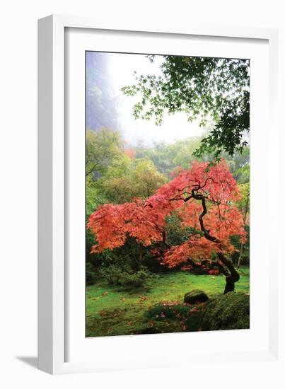 Japanese Gardens IV-Brian Moore-Framed Photographic Print