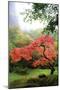 Japanese Gardens IV-Brian Moore-Mounted Photographic Print