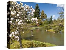 Japanese Gardens Part of Washington Park Arboretum, Seattle, Washington, USA-Trish Drury-Stretched Canvas