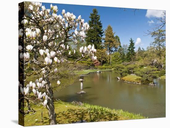 Japanese Gardens Part of Washington Park Arboretum, Seattle, Washington, USA-Trish Drury-Stretched Canvas