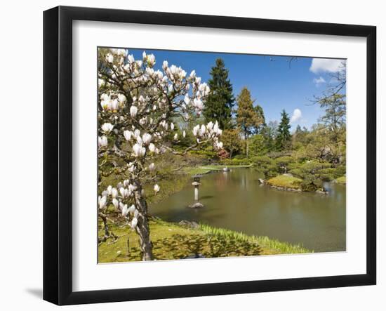 Japanese Gardens Part of Washington Park Arboretum, Seattle, Washington, USA-Trish Drury-Framed Premium Photographic Print