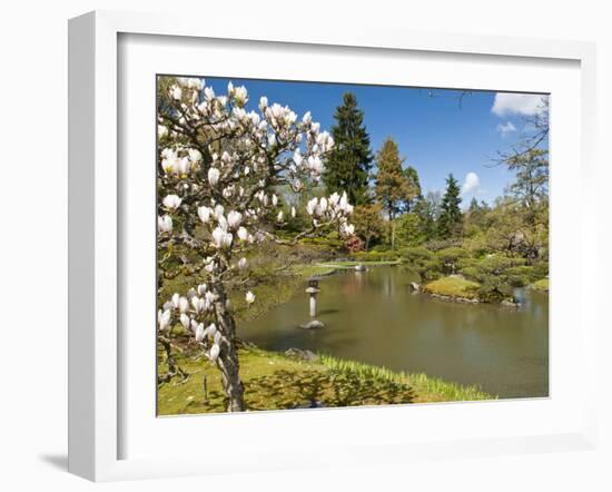 Japanese Gardens Part of Washington Park Arboretum, Seattle, Washington, USA-Trish Drury-Framed Premium Photographic Print