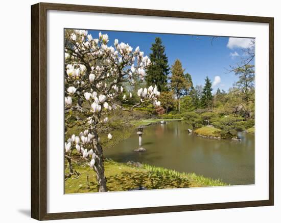 Japanese Gardens Part of Washington Park Arboretum, Seattle, Washington, USA-Trish Drury-Framed Photographic Print