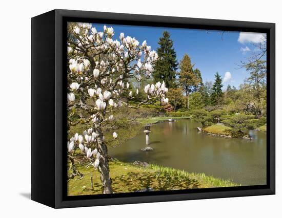 Japanese Gardens Part of Washington Park Arboretum, Seattle, Washington, USA-Trish Drury-Framed Stretched Canvas