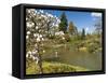 Japanese Gardens Part of Washington Park Arboretum, Seattle, Washington, USA-Trish Drury-Framed Stretched Canvas