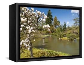 Japanese Gardens Part of Washington Park Arboretum, Seattle, Washington, USA-Trish Drury-Framed Stretched Canvas