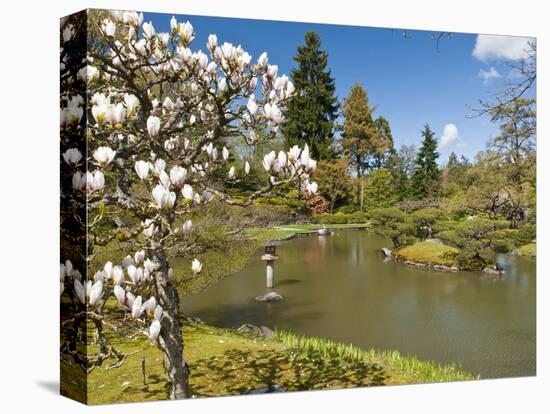 Japanese Gardens Part of Washington Park Arboretum, Seattle, Washington, USA-Trish Drury-Stretched Canvas