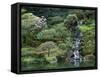 Japanese Gardens, Portland, Oregon, USA-null-Framed Stretched Canvas