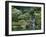 Japanese Gardens, Portland, Oregon, USA-null-Framed Premium Photographic Print