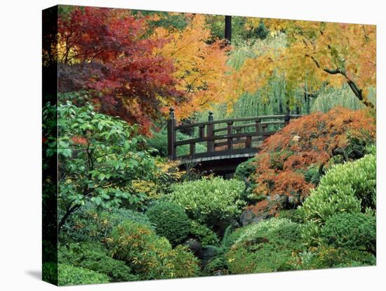 Japanese Gardens, Portland, Oregon, USA-null-Stretched Canvas