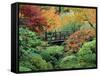 Japanese Gardens, Portland, Oregon, USA-null-Framed Stretched Canvas