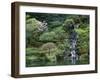 Japanese Gardens, Portland, Oregon, USA-null-Framed Photographic Print