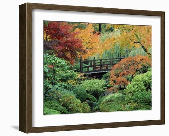 Japanese Gardens, Portland, Oregon, USA-null-Framed Photographic Print