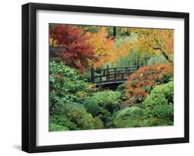 Japanese Gardens, Portland, Oregon, USA-null-Framed Photographic Print