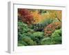 Japanese Gardens, Portland, Oregon, USA-null-Framed Photographic Print