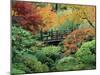 Japanese Gardens, Portland, Oregon, USA-null-Mounted Photographic Print