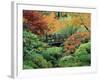 Japanese Gardens, Portland, Oregon, USA-null-Framed Photographic Print