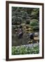 Japanese Gardens V-Brian Moore-Framed Photographic Print