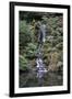 Japanese Gardens VI-Brian Moore-Framed Photographic Print