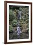 Japanese Gardens VI-Brian Moore-Framed Photographic Print