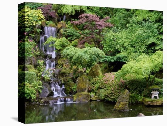 Japanese Gardens Washington Park Portland Oregon, USA-null-Stretched Canvas