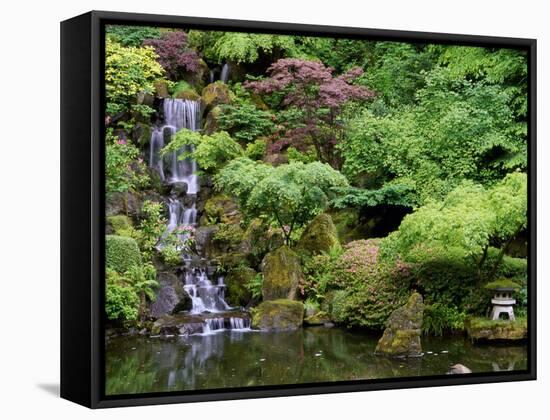 Japanese Gardens Washington Park Portland Oregon, USA-null-Framed Stretched Canvas