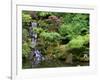 Japanese Gardens Washington Park Portland Oregon, USA-null-Framed Photographic Print