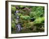 Japanese Gardens Washington Park Portland Oregon, USA-null-Framed Photographic Print