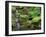 Japanese Gardens Washington Park Portland Oregon, USA-null-Framed Photographic Print