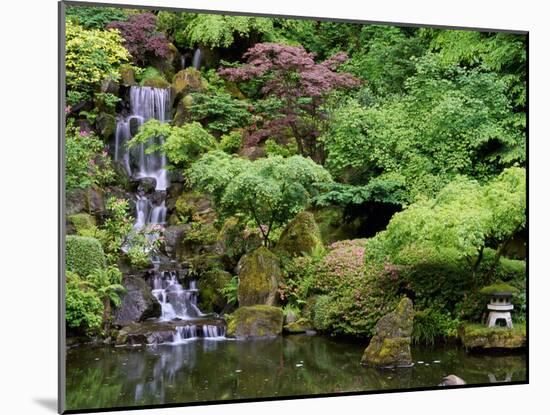 Japanese Gardens Washington Park Portland Oregon, USA-null-Mounted Photographic Print