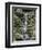 Japanese Gardens-Rick Bowmer-Framed Photographic Print