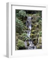 Japanese Gardens-Rick Bowmer-Framed Photographic Print