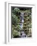 Japanese Gardens-Rick Bowmer-Framed Photographic Print