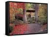 Japanese Gazebo with Fall Colors, Spokane, Washington, USA-Jamie & Judy Wild-Framed Stretched Canvas