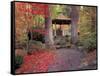 Japanese Gazebo with Fall Colors, Spokane, Washington, USA-Jamie & Judy Wild-Framed Stretched Canvas