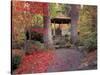 Japanese Gazebo with Fall Colors, Spokane, Washington, USA-Jamie & Judy Wild-Stretched Canvas