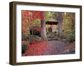 Japanese Gazebo with Fall Colors, Spokane, Washington, USA-Jamie & Judy Wild-Framed Premium Photographic Print