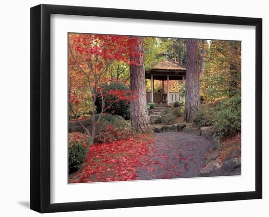 Japanese Gazebo with Fall Colors, Spokane, Washington, USA-Jamie & Judy Wild-Framed Premium Photographic Print