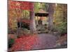 Japanese Gazebo with Fall Colors, Spokane, Washington, USA-Jamie & Judy Wild-Mounted Premium Photographic Print