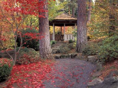 Japanese Gazebo with Fall Colors, Spokane, Washington, USA' Photographic  Print - Jamie & Judy Wild | AllPosters.com