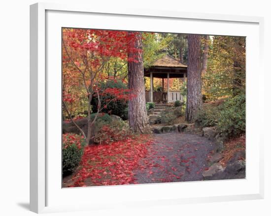 Japanese Gazebo with Fall Colors, Spokane, Washington, USA-Jamie & Judy Wild-Framed Photographic Print