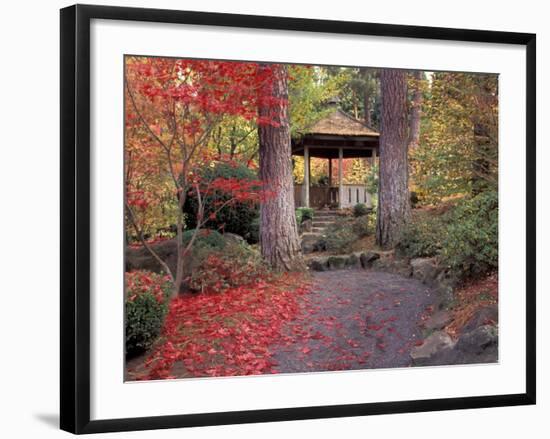 Japanese Gazebo with Fall Colors, Spokane, Washington, USA-Jamie & Judy Wild-Framed Photographic Print