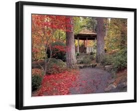 Japanese Gazebo with Fall Colors, Spokane, Washington, USA-Jamie & Judy Wild-Framed Photographic Print