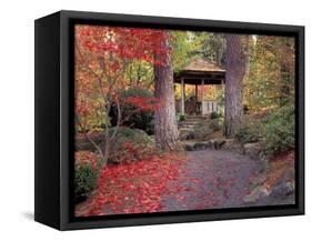 Japanese Gazebo with Fall Colors, Spokane, Washington, USA-Jamie & Judy Wild-Framed Stretched Canvas