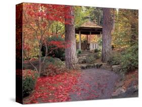 Japanese Gazebo with Fall Colors, Spokane, Washington, USA-Jamie & Judy Wild-Stretched Canvas
