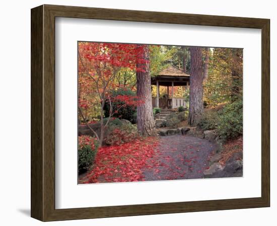 Japanese Gazebo with Fall Colors, Spokane, Washington, USA-Jamie & Judy Wild-Framed Photographic Print